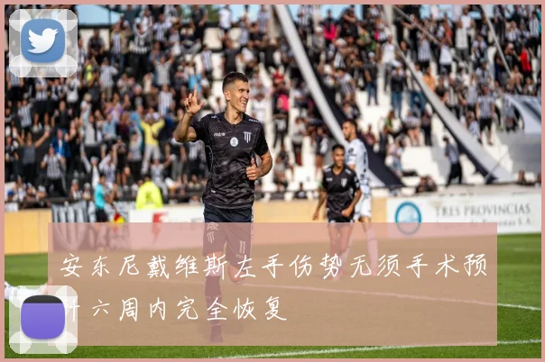 安东尼戴维斯左手伤势无须手术预计六周内完全恢复