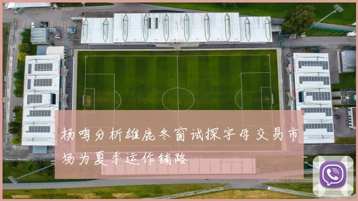 杨鸣分析雄鹿冬窗试探字母交易市场为夏季运作铺路