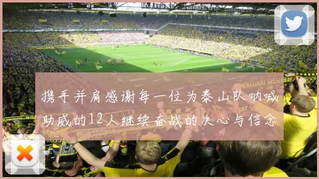 携手并肩感谢每一位为泰山队呐喊助威的12人继续奋战的决心与信念
