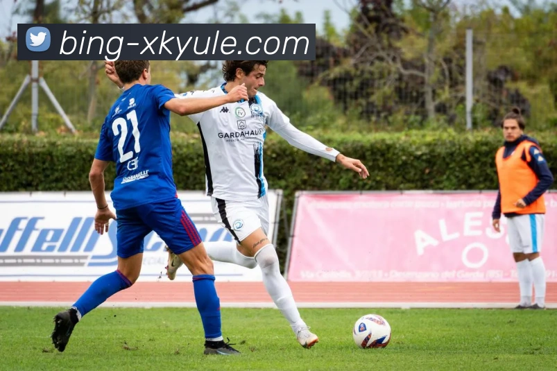 星空娱乐平台生态图